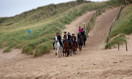 Horseback riding through the dunes and on the beach