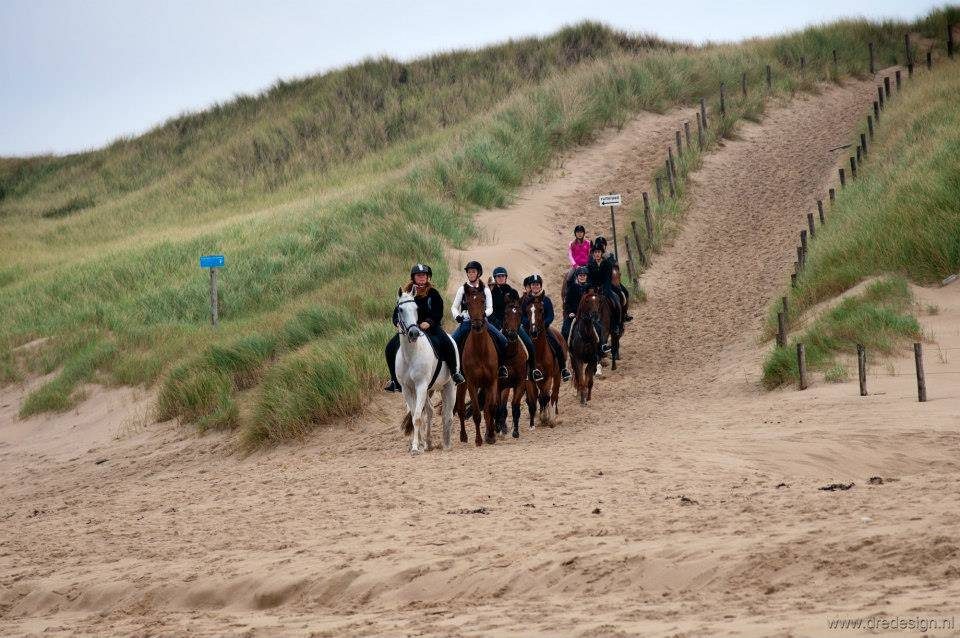 Paardrijden op duinen en strand