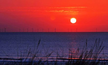 The Egmond aan Zee Offshore Wind Farm