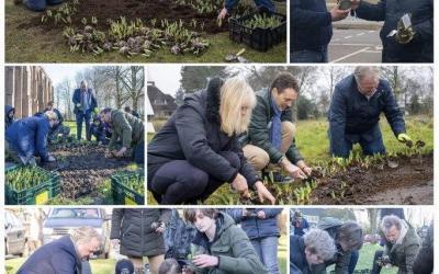 4 tulpenharten als hart onder de riem