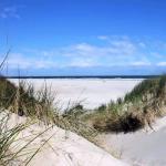 Beach and dunes of Egmond