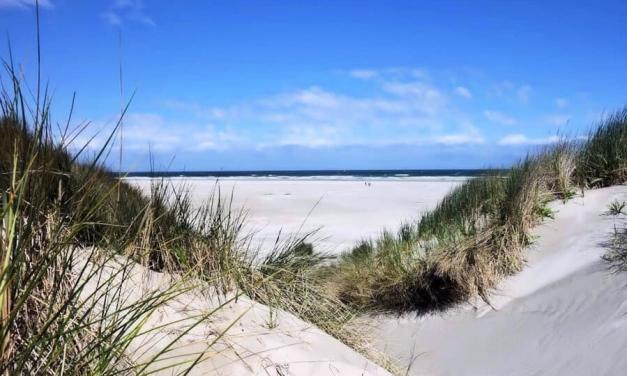 Spiaggia e dune di Egmond