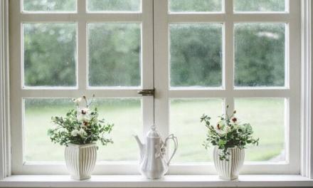 Holzfäule in Ihren Fensterrahmen? So behebst du es