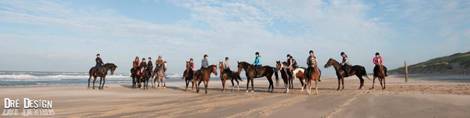 horse-beach-ride-egmond