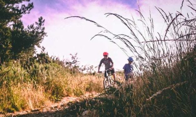 5 redenen om vaker de fiets te pakken