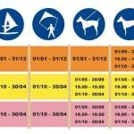 Strandveiligheid Tips