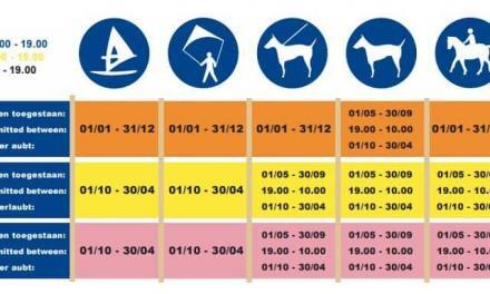 Strandveiligheid Tips